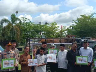 Rayakan Idul Adha 2026, Pemkab Sintang Serahkan 8 Ekor Sapi Kurban
